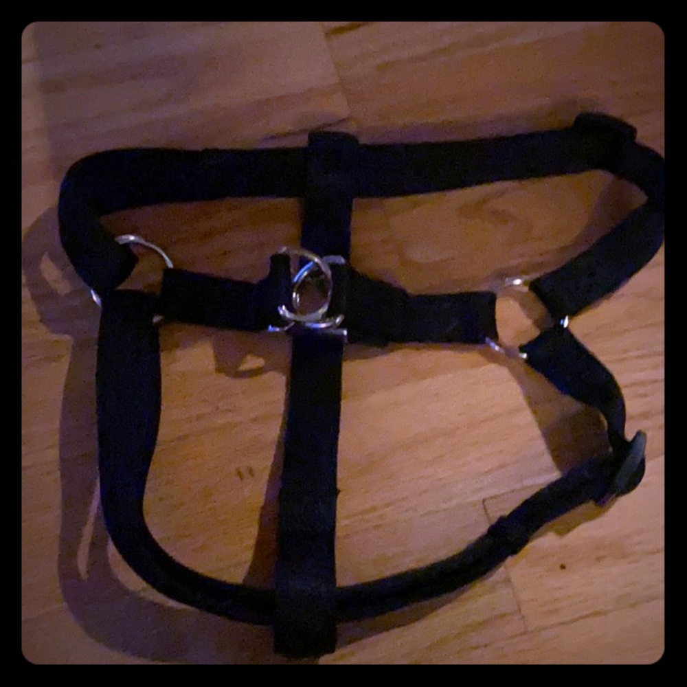 Large dog harness